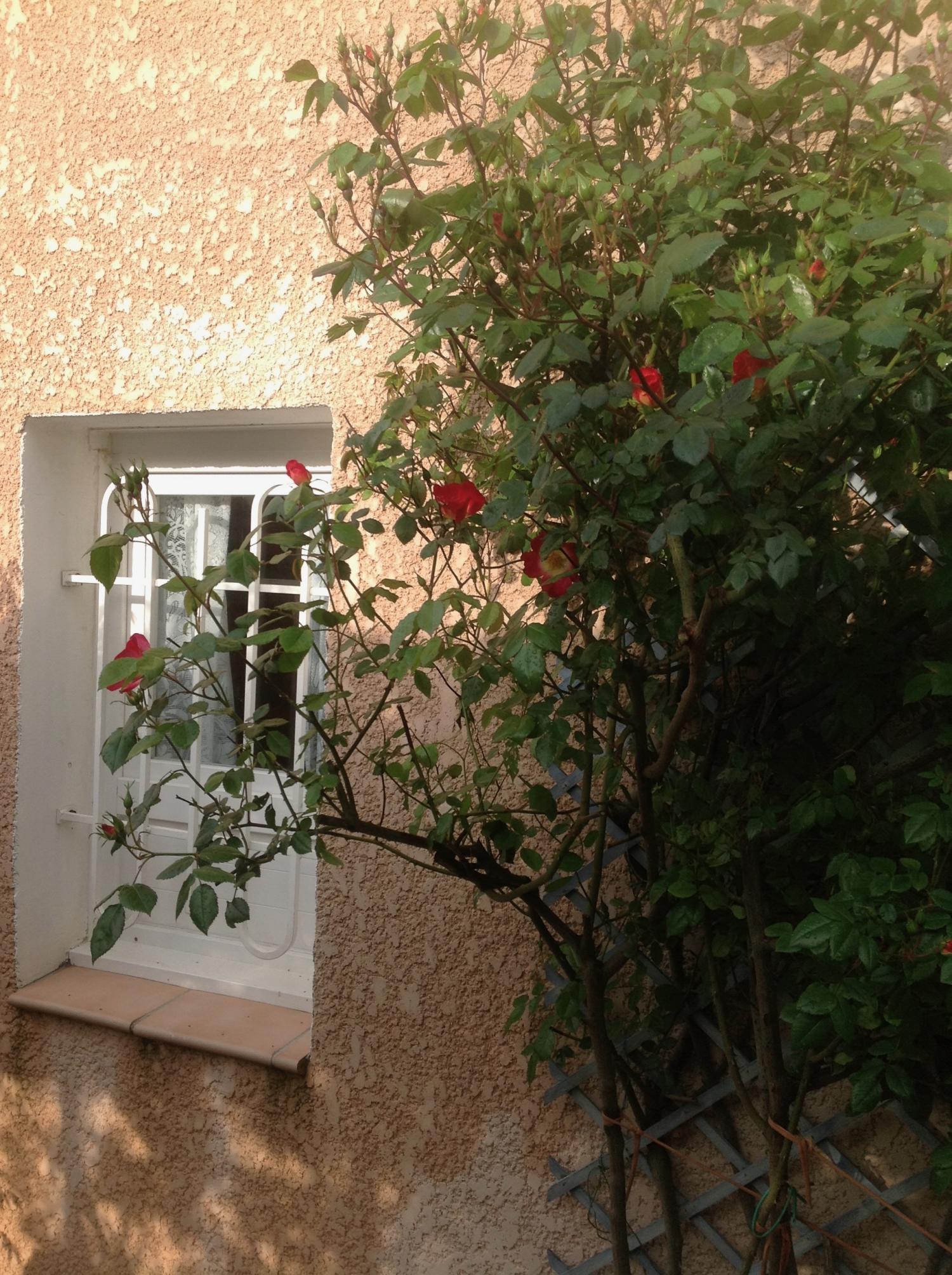 te koop villa Agde Hérault 6