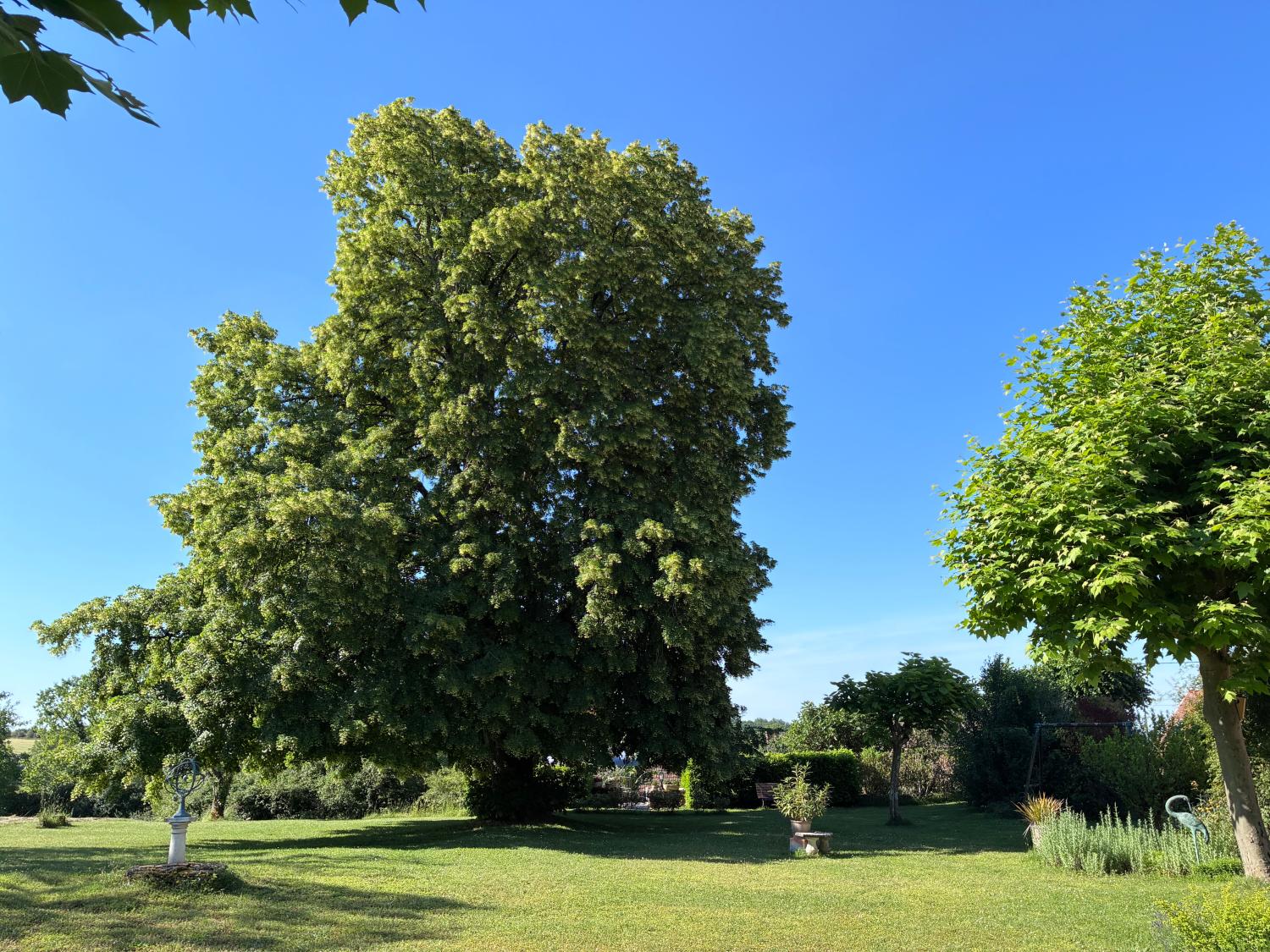  te koop huis Saint-Cyprien Dordogne 4