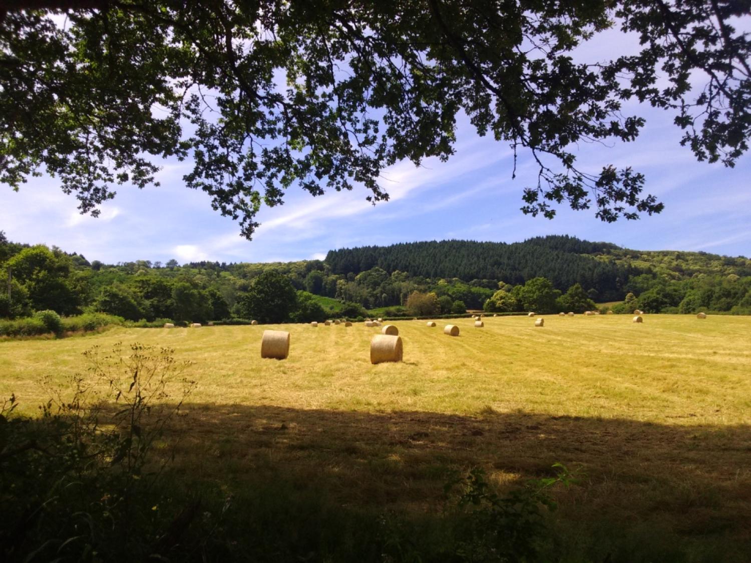  te koop huis met gîte Thil-sur-Arroux Saône-et-Loire 30