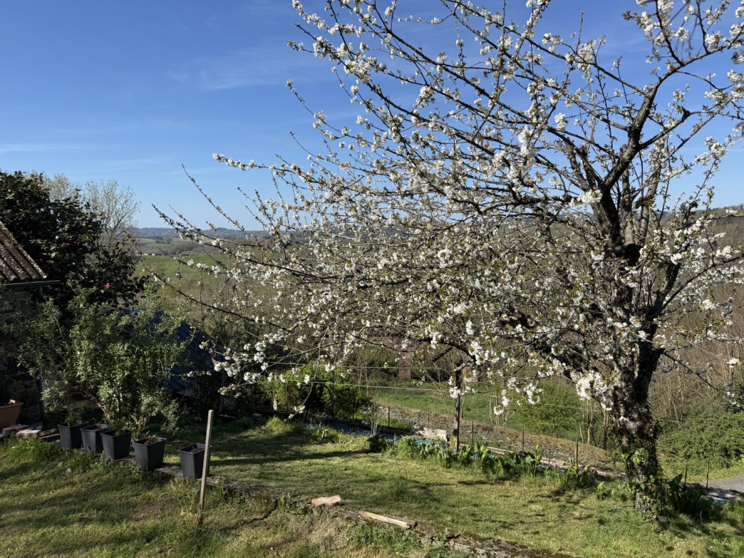 te koop vrijstaand huis Vignols Corrèze 19