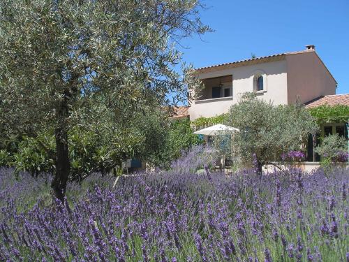 Lacoste Vaucluse gîtes/ chambres d'hôtes foto
