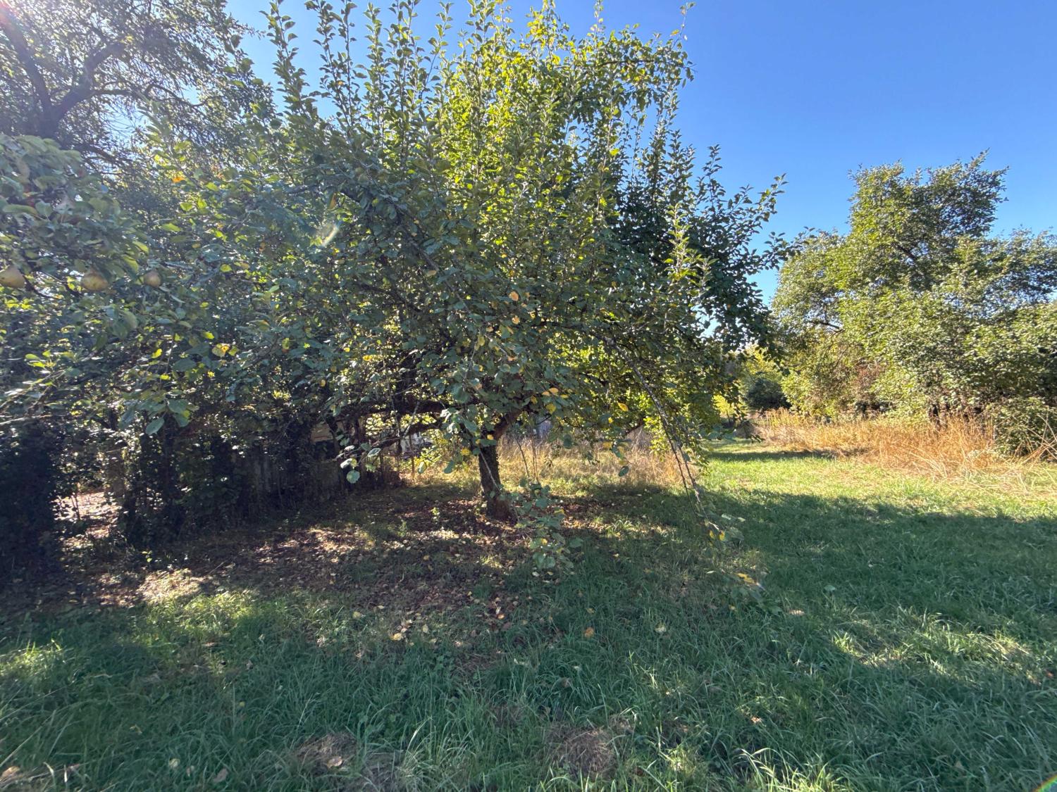 te koop dorpsboerderij Corre Haute-Saône 28