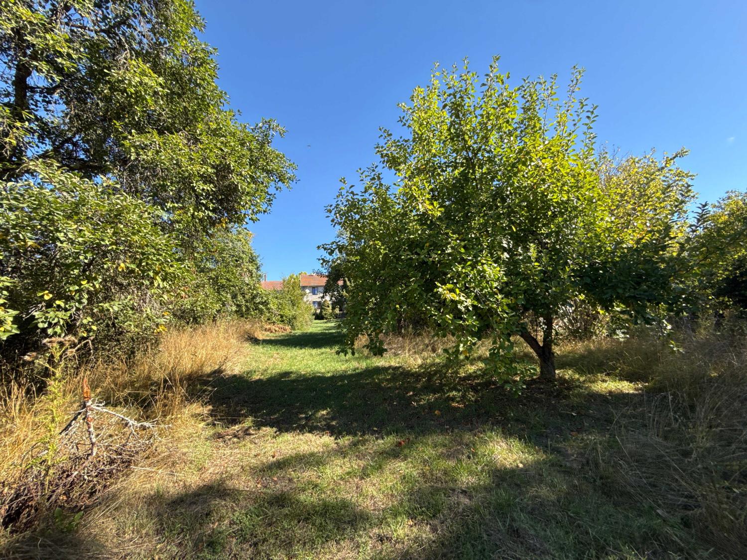 te koop dorpsboerderij Corre Haute-Saône 30