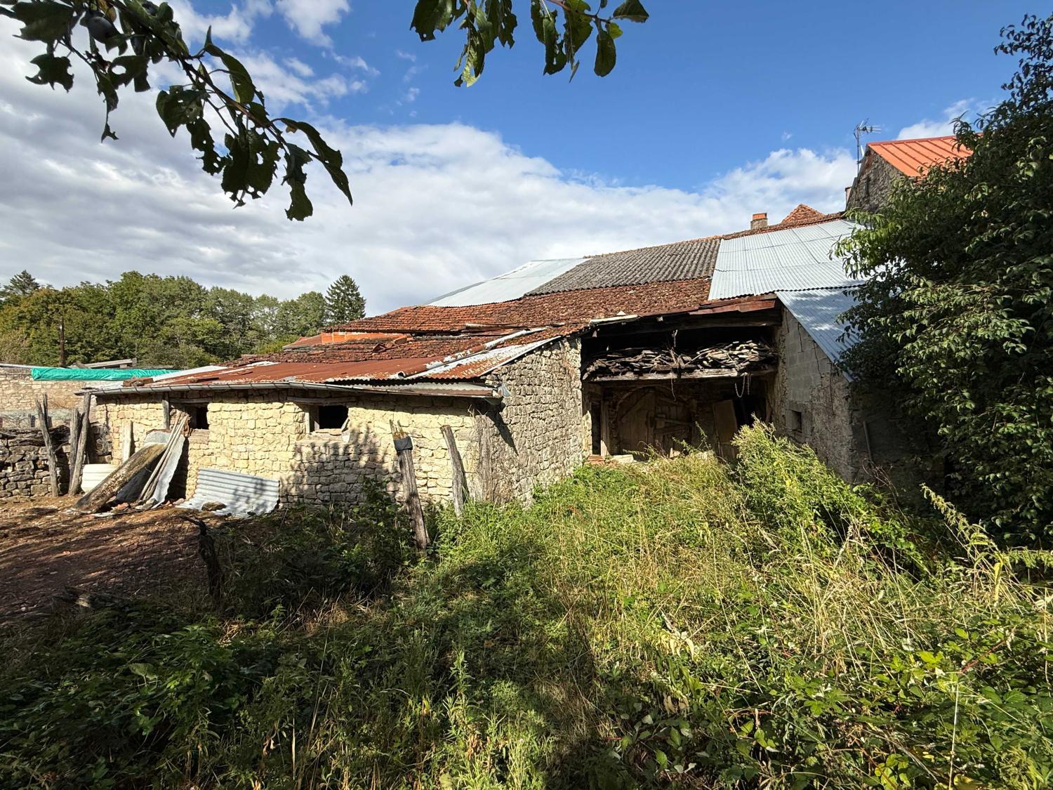 te koop dorpshuis Melay Haute-Marne 28