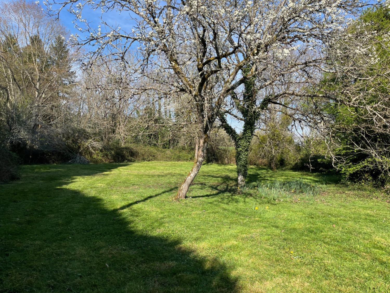 te koop vrijstaand huis Jumilhac-le-Grand Dordogne 3