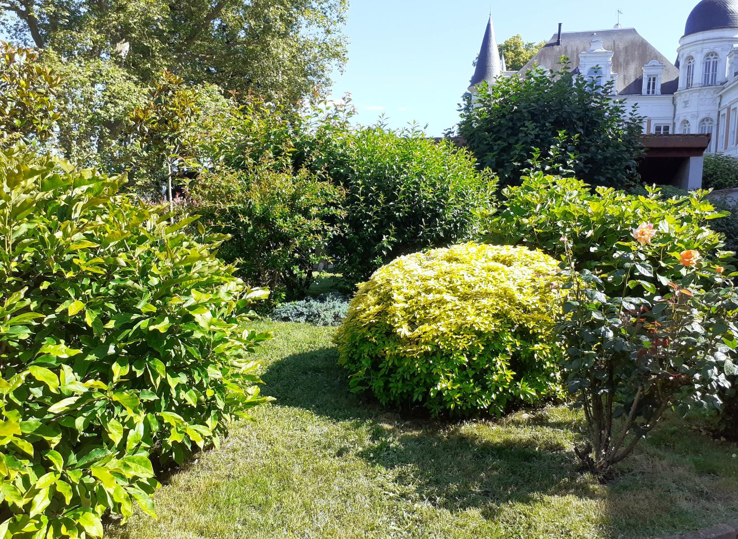 te koop huis Sorbiers Loire 6