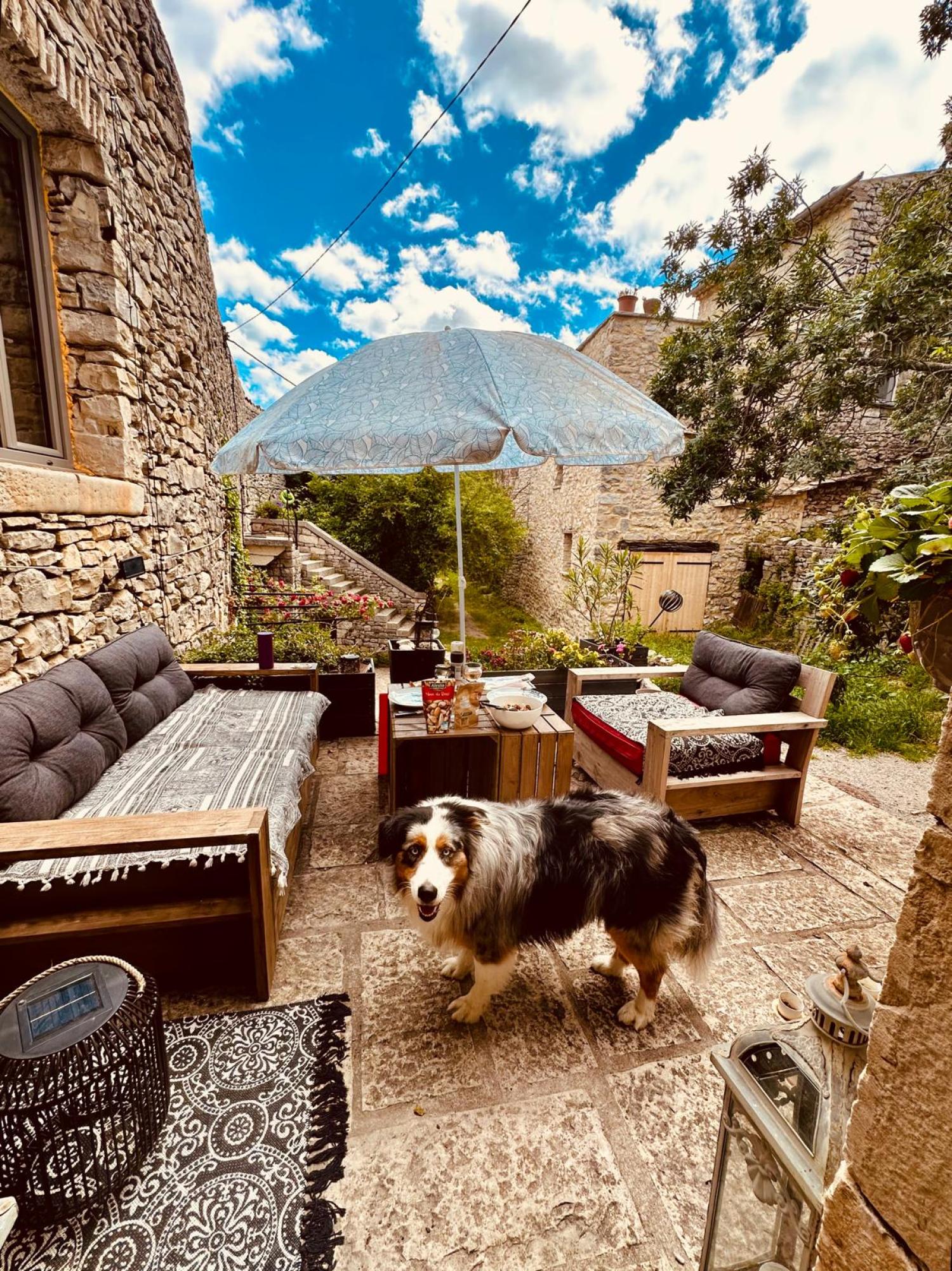 te koop huis met gîte Buis-les-Baronnies Drôme 20